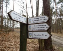 Wstęga Kociewia -