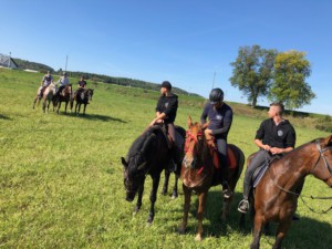 Wstęga Kociewia - 1 7