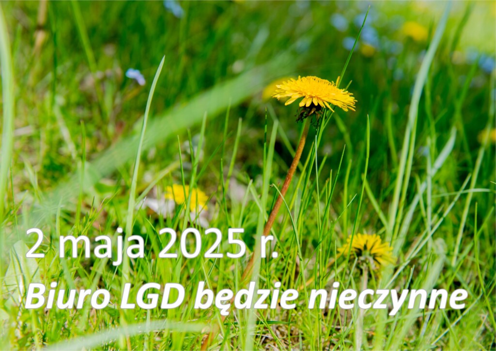 Wstęga Kociewia - na www